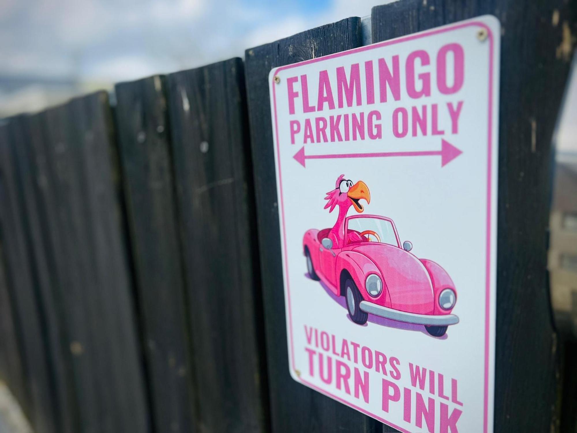 Flamingo Studio's Zeeland Schoondijke